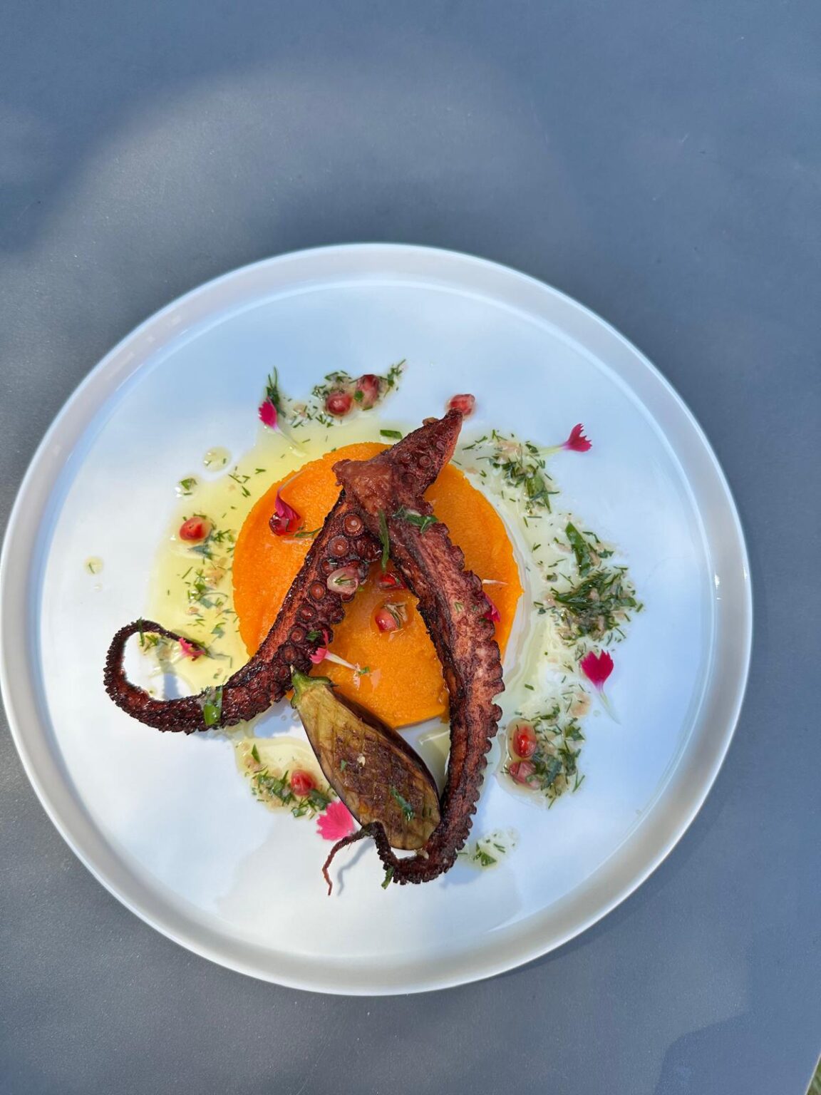 Plat de poulpe grillé avec purée orange et garniture de grenade et herbes