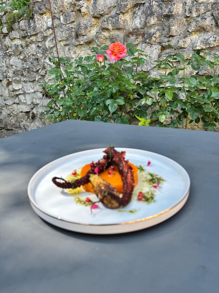 Plat avec poulpe et purée sur table grise devant mur en pierre et rose